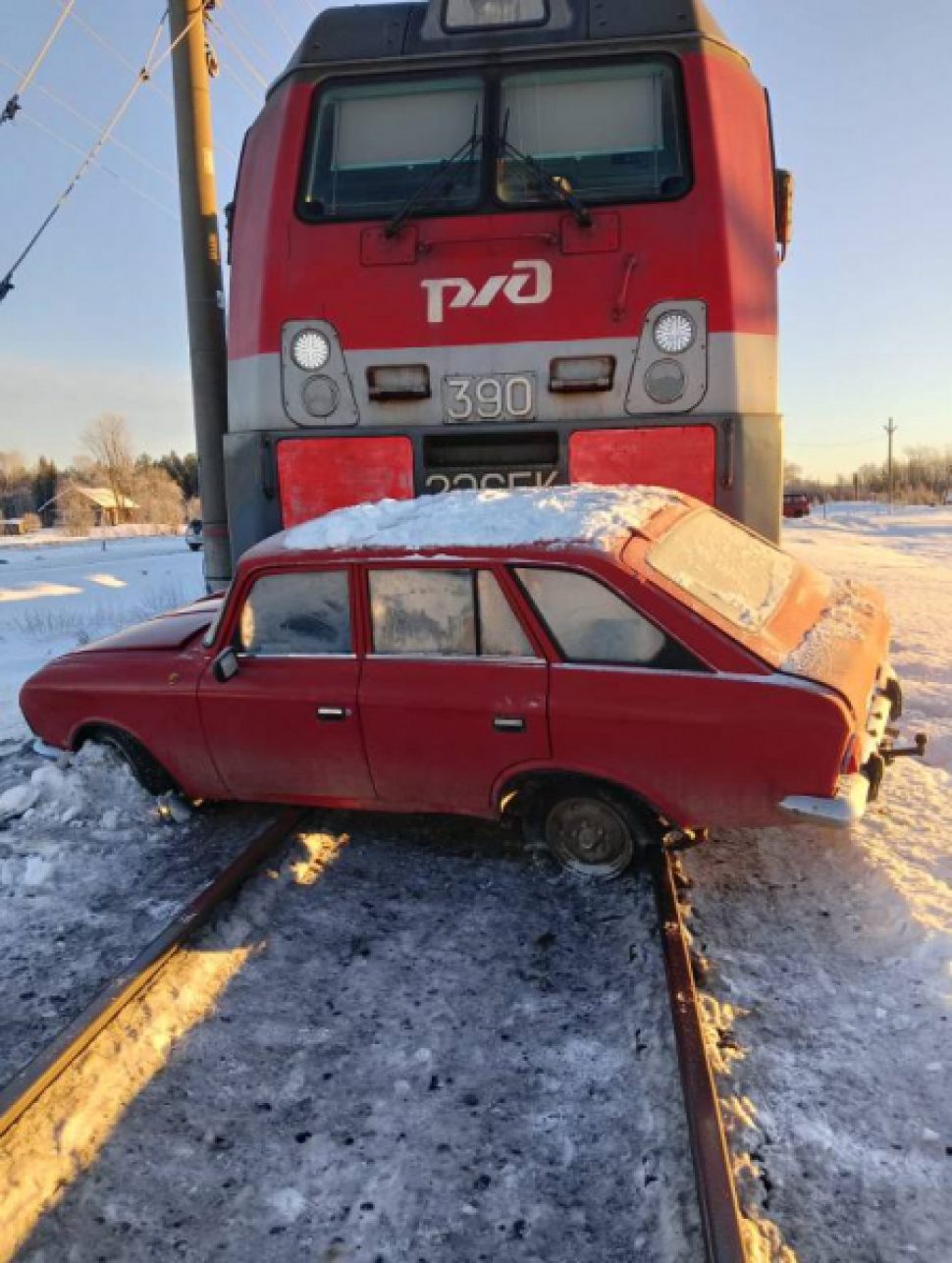 Фото УМВД по Архангельской области