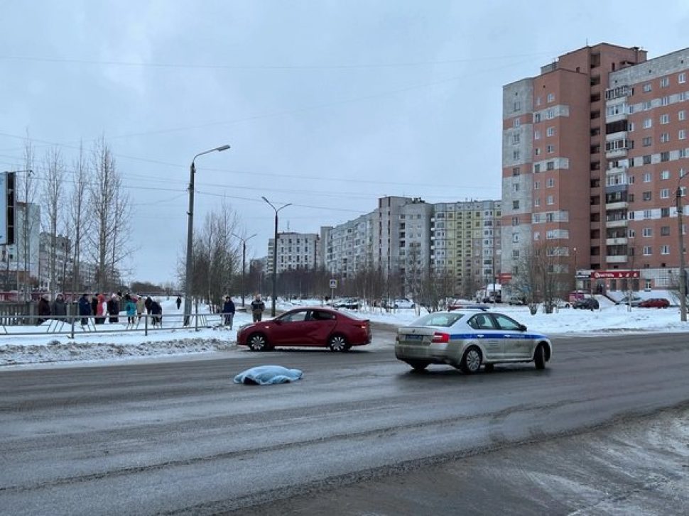 Фото Госавтоинспекция Архангельской области