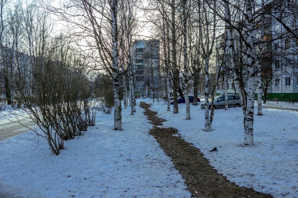 В Северодвинске благоустроят три общественные территории