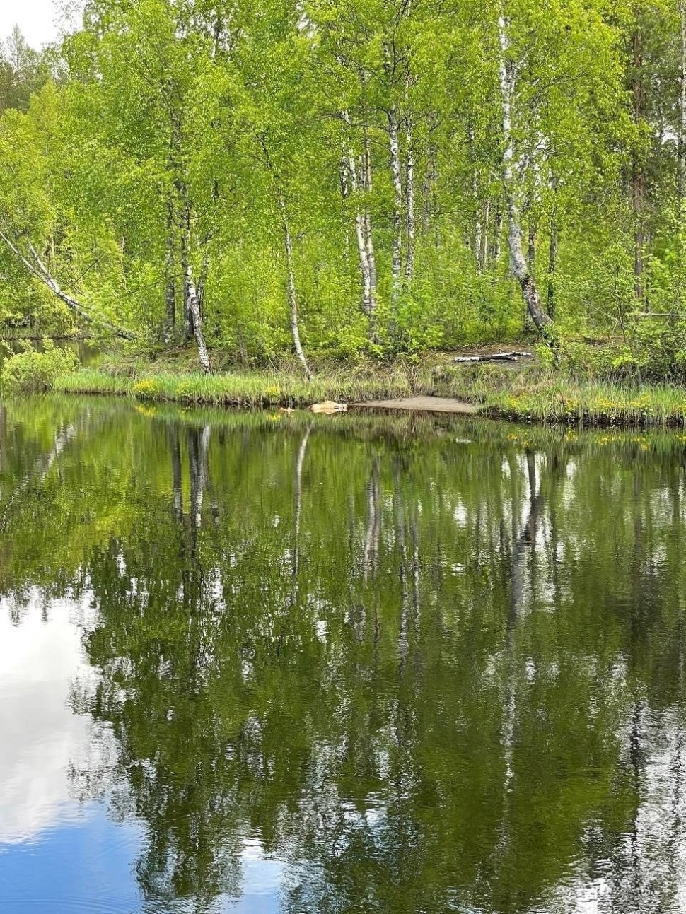 фото: Александр Симановский