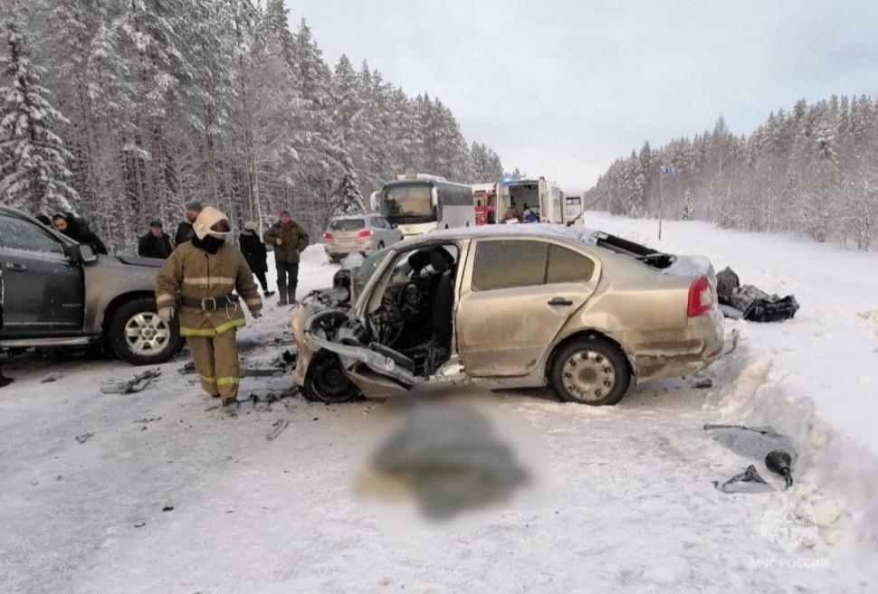 Пять человек погибли в трёх ДТП в Архангельской области