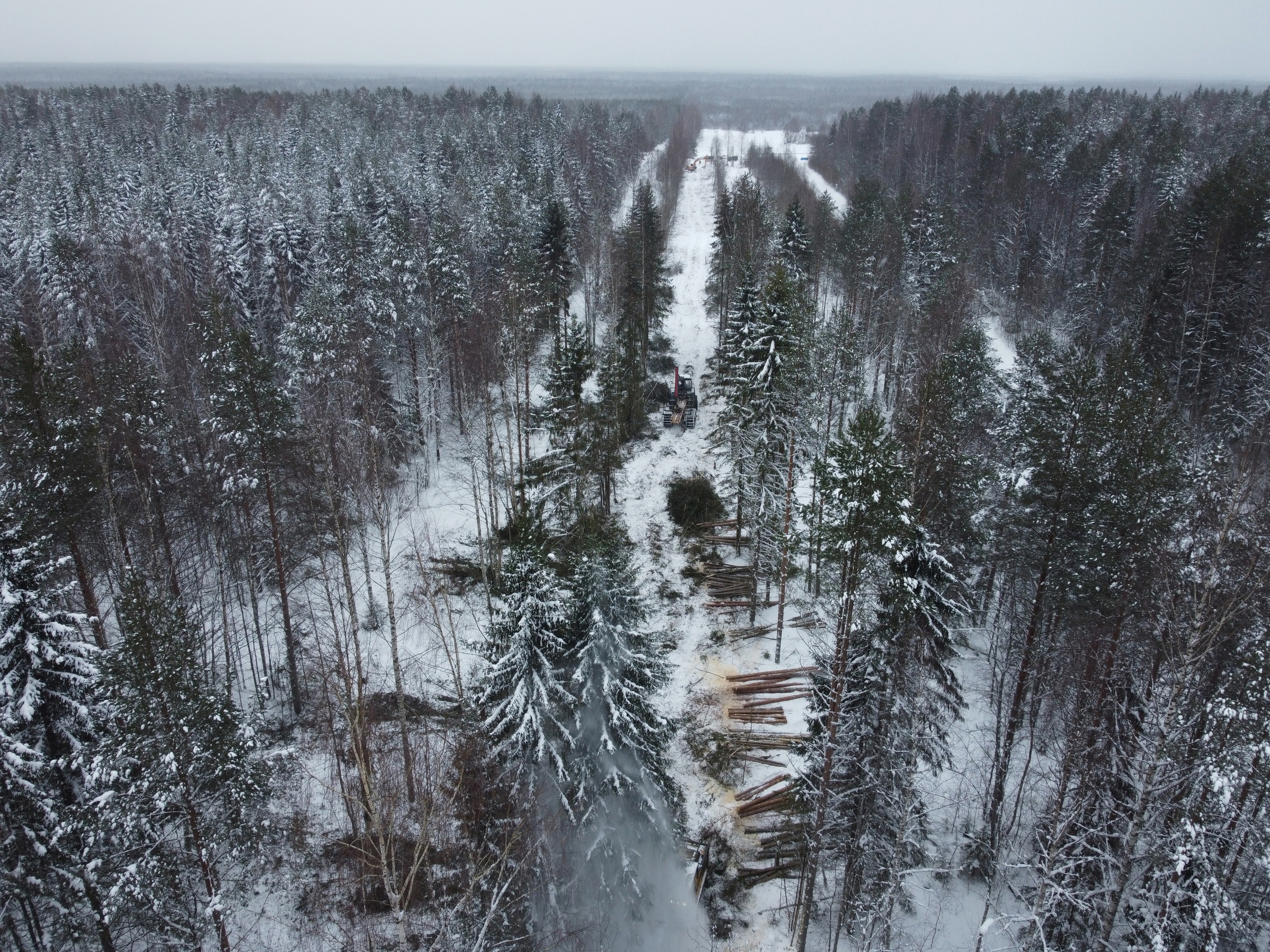 Прогноз погоды кулой вельский