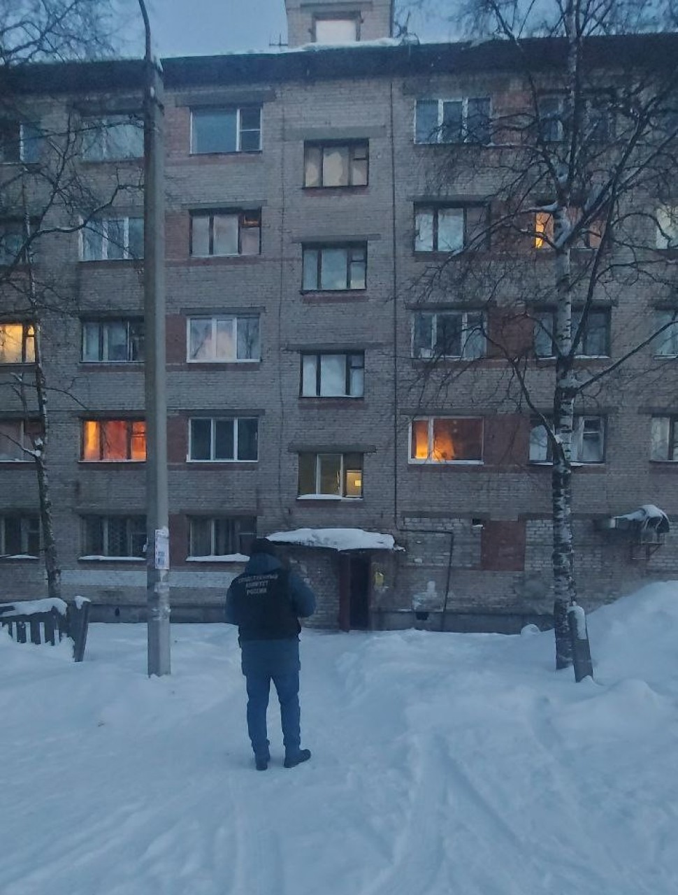 На жительницу Новодвинска с крыши сошла снежная лавина вперемешку со льдом