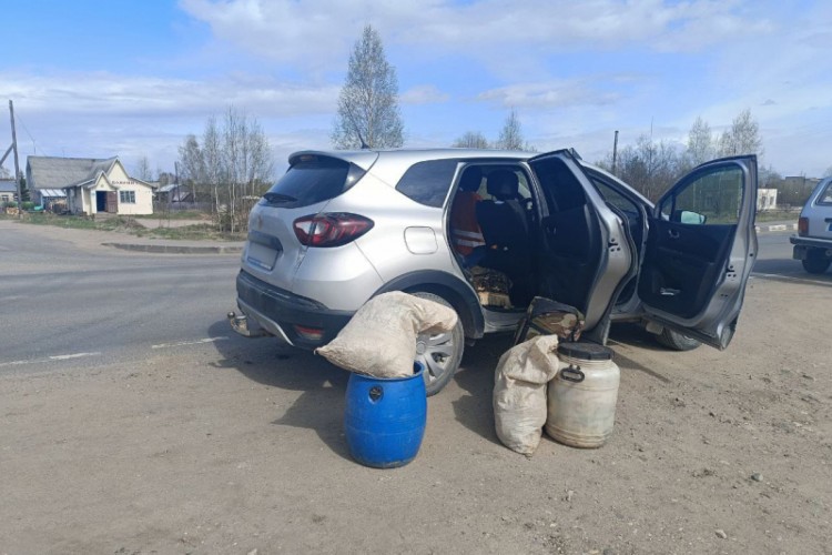 Красноборские полицейские задержали нетрезвого браконьера