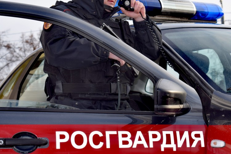 Результаты работы за неделю подразделений Росгвардии в Архангельской области