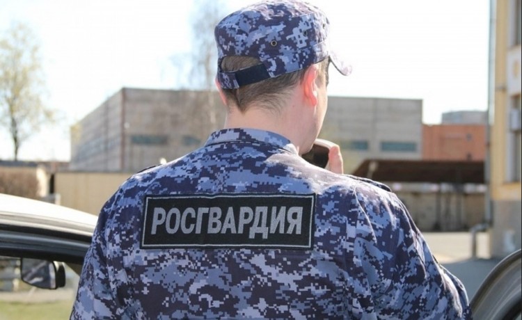 Женщину, находящуюся в федеральном розыске, задержали в Архангельске