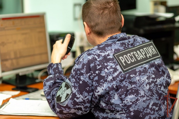 Северодвинские росгвардейцы задержали подозреваемого в умышленном повреждении чужого имущества
