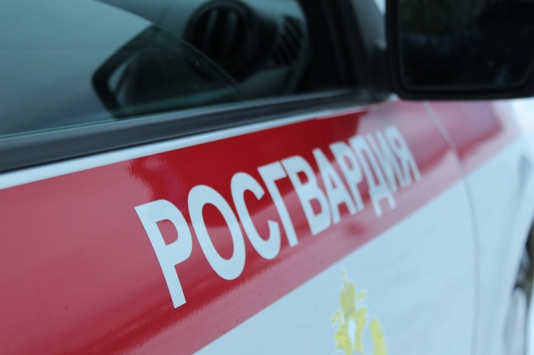 Росгвардейцы Поморья подвели итоги работы за предыдущую неделю
