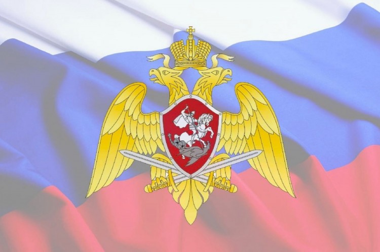 Накануне Нового года росгвардейцы Поморья проведут «прямую линию» по вопросам оборота оружия