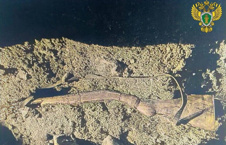 Житель Коноши предстанет перед судом за посягательство на жизнь сотрудников полиции