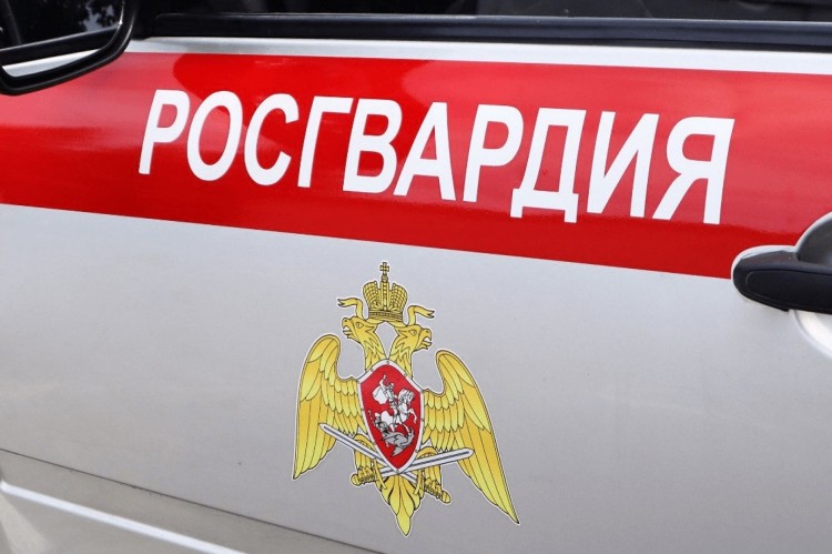 Росгвардия Поморья поделилась результатами работы за первую рабочую неделю января